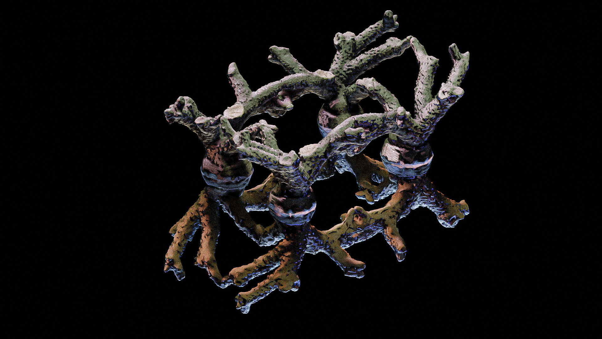 Coral Multiplication